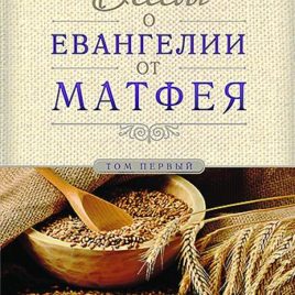 БЕСЕДЫ О ЕВАНГЕЛИИ ОТ МАТФЕЯ. Том 1. Алексей Кувшинников