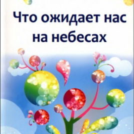 ЧТО ОЖИДАЕТ НАС НА НЕБЕСАХ. Рэнди Алькорн