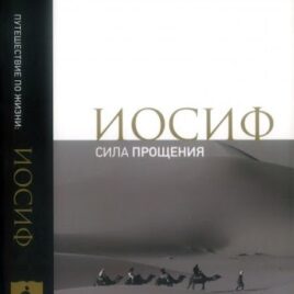 ПУТЕШЕСТВИЕ ПО ЖИЗНИ: ИОСИФ. СИЛА ПРОЩЕНИЯ