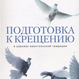 ПОДГОТОВКА К КРЕЩЕНИЮ. Сергей Санников